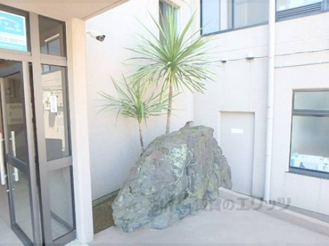 植栽