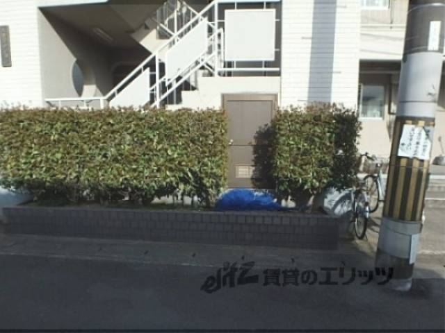 ゴミ捨て場