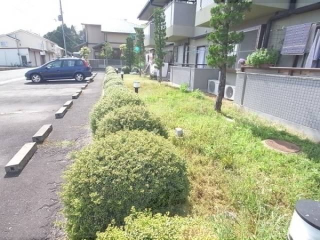 植栽