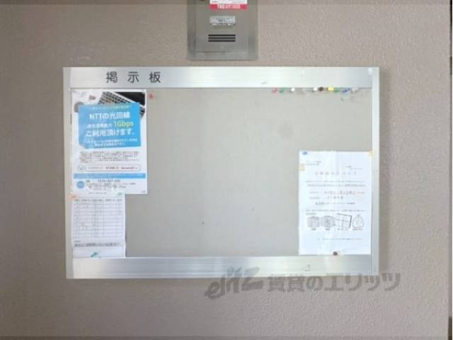 掲示板