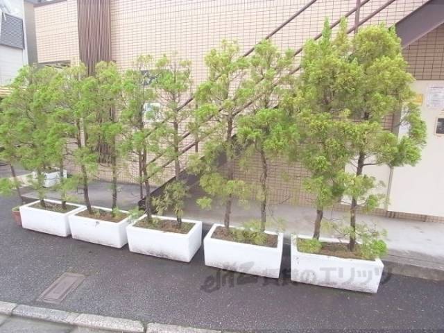 植栽