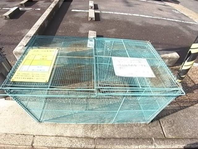 ゴミ捨て場