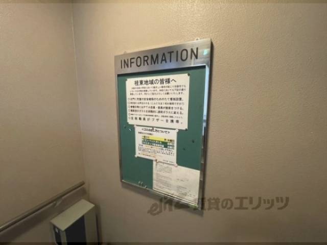 掲示板