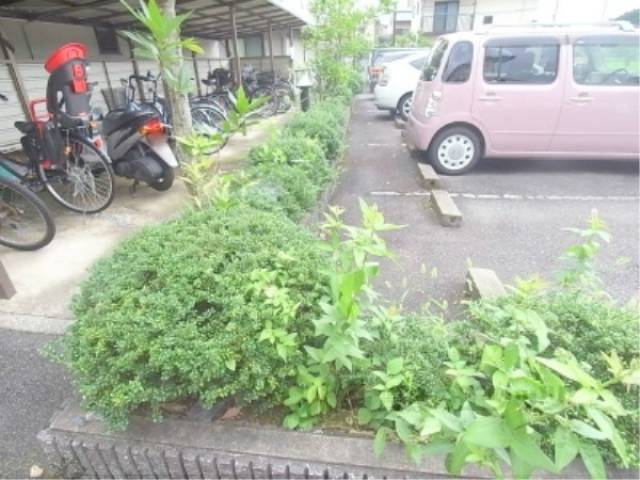 植栽