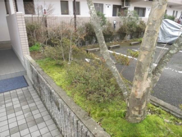 植栽