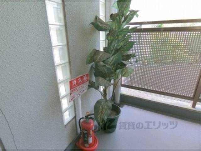 植栽