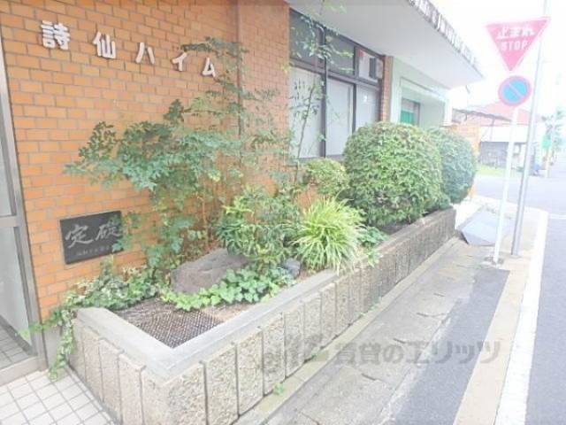 植栽
