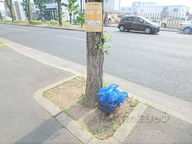 ゴミ置き場
