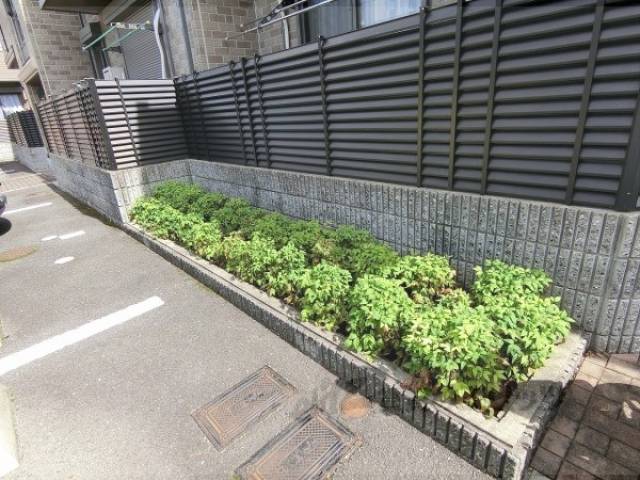 植栽