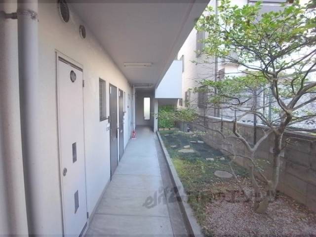 通路