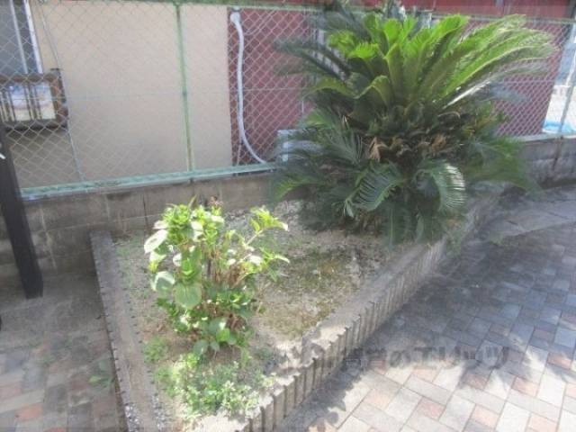 植栽