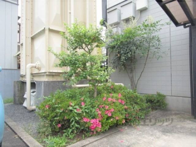 植栽