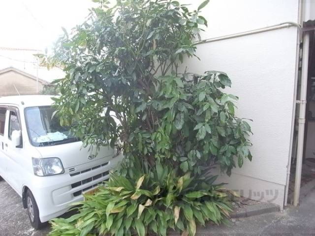 植栽