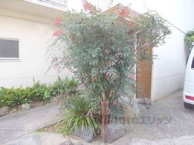 植栽