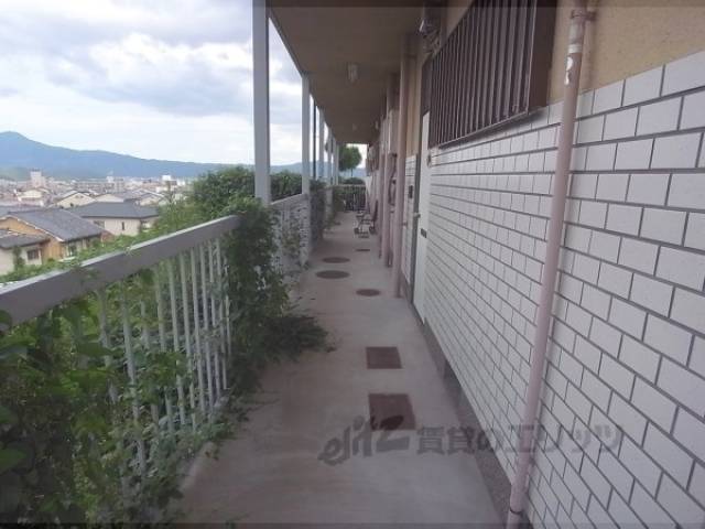 通路