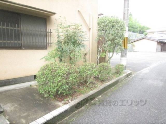 植栽