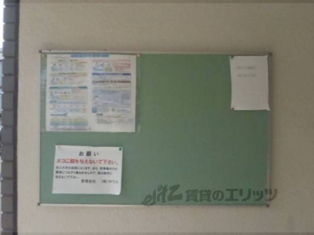 掲示板