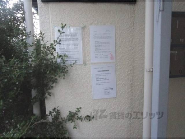 掲示板