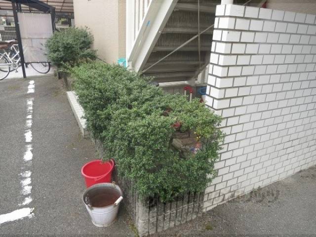 植栽