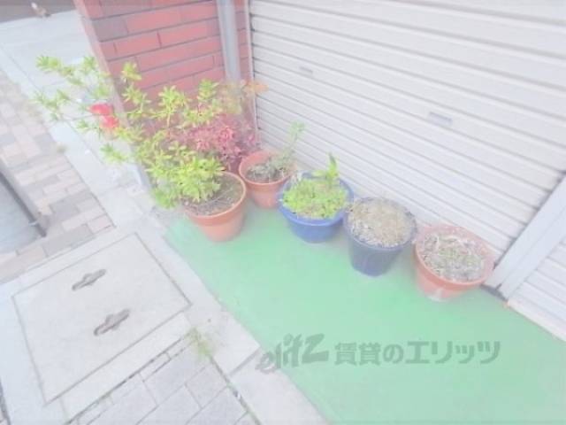 植栽