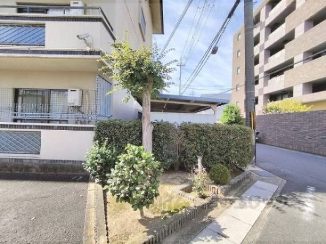 植栽