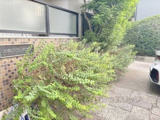 植栽