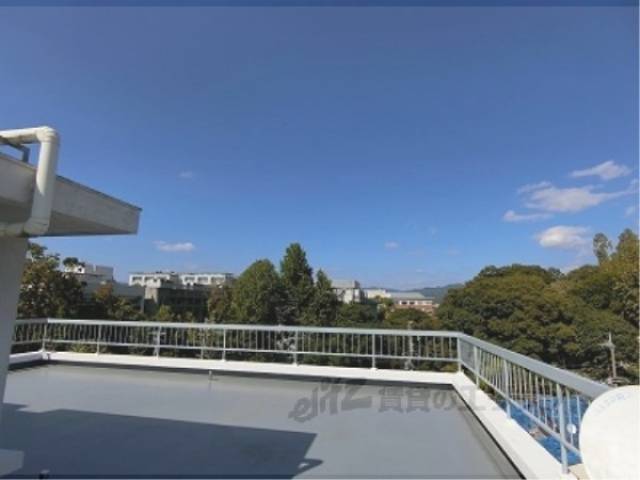 屋上