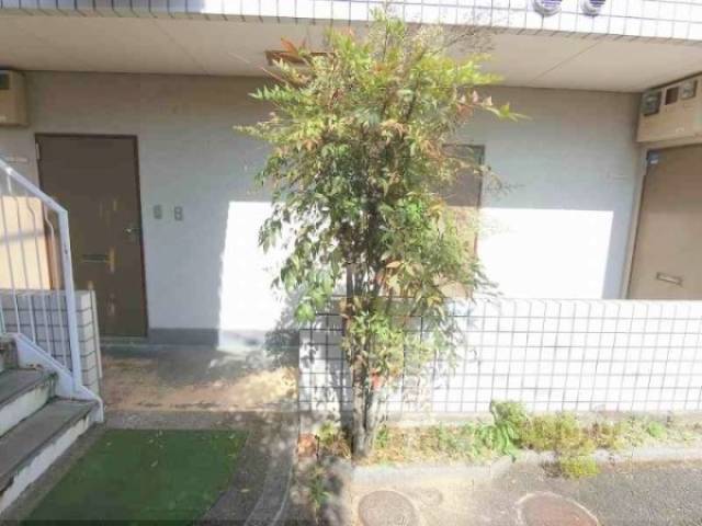 植栽