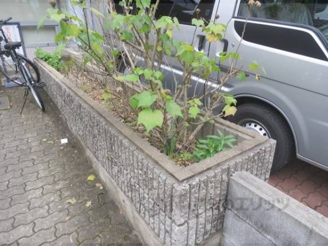 植栽