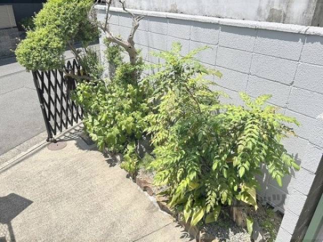 植栽
