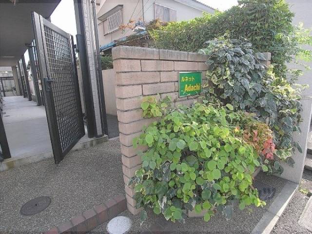 植栽
