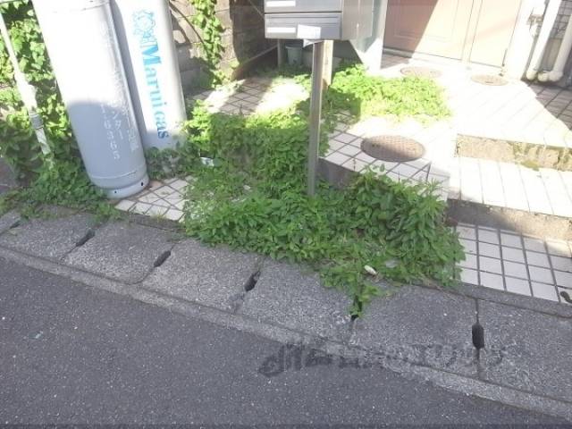 植栽