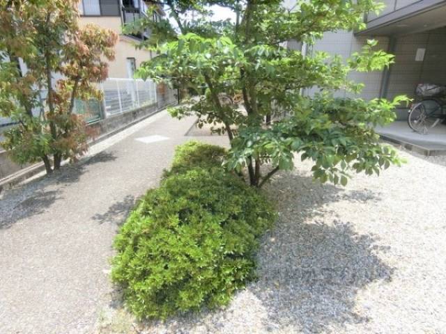 植栽