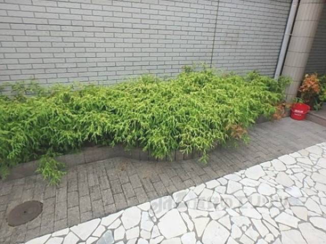 植栽