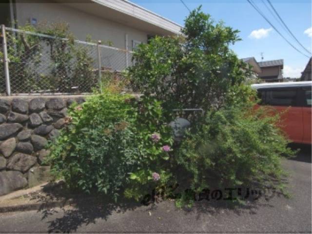 植栽