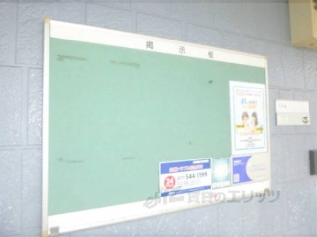 掲示板