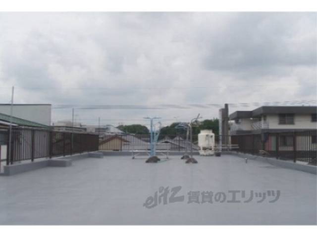 屋上