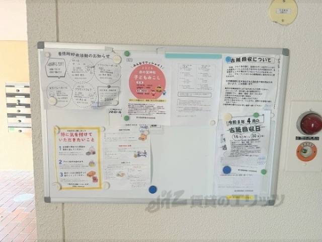 掲示板