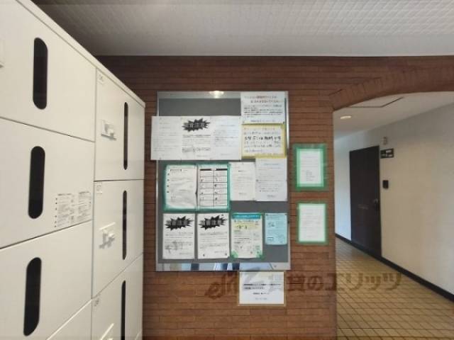 掲示板