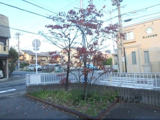 植栽