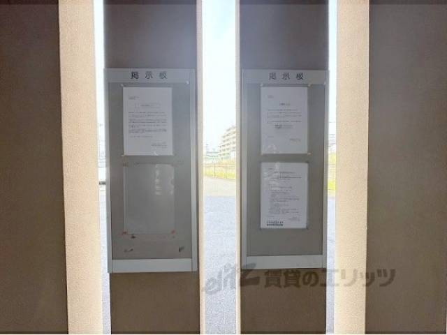 掲示板