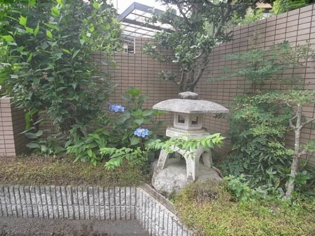 植栽
