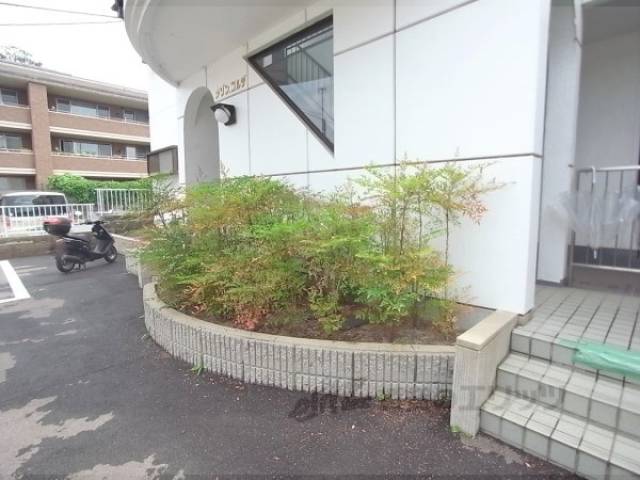 植栽