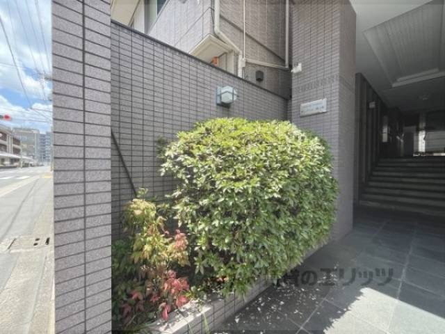 植栽