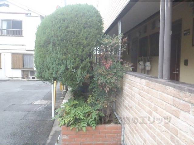 植栽