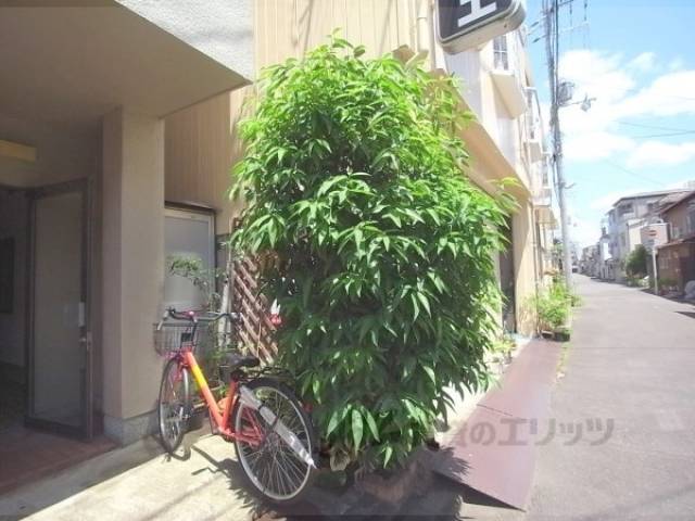 植栽