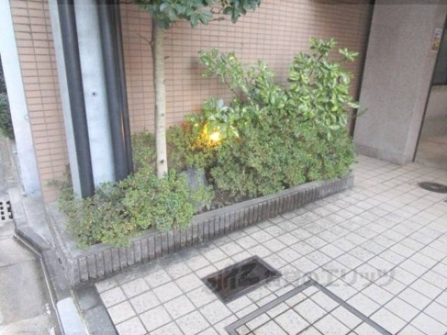 植栽