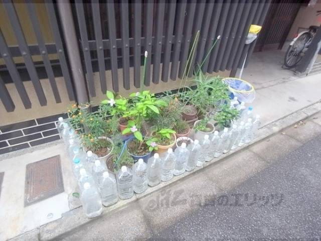 植栽