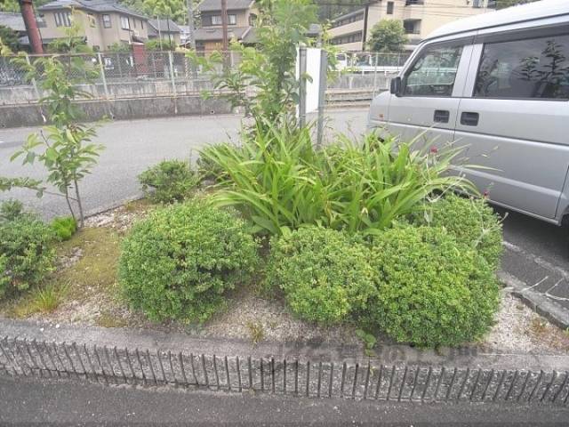 植栽