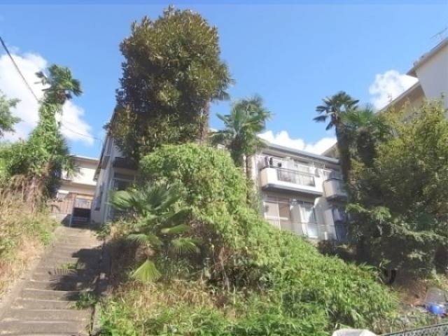 植栽